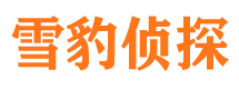 马关外遇出轨调查取证